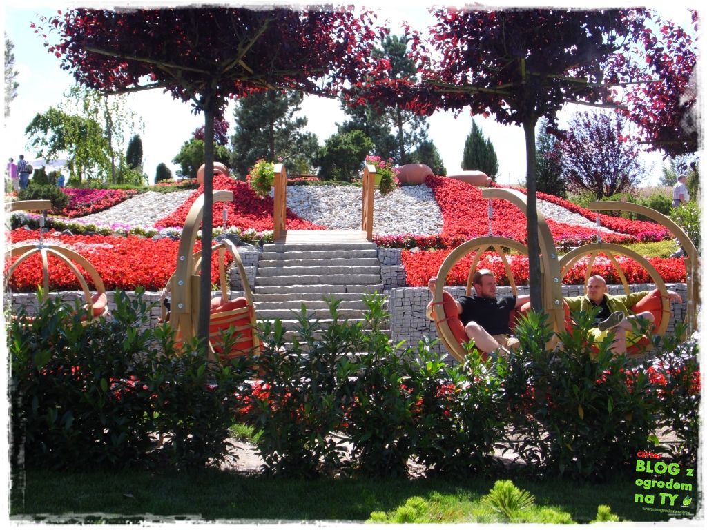 eska summer city minieuroland zogrodemnaty11