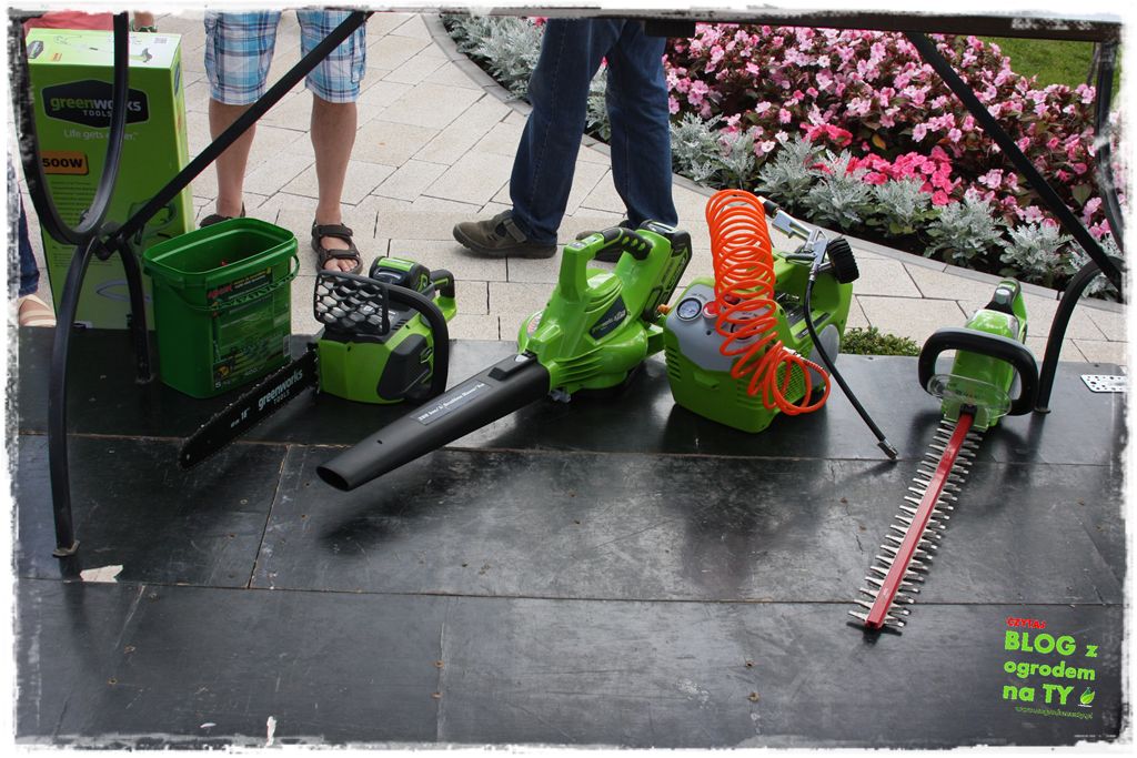 eska summer city minieuroland zogrodemnaty14