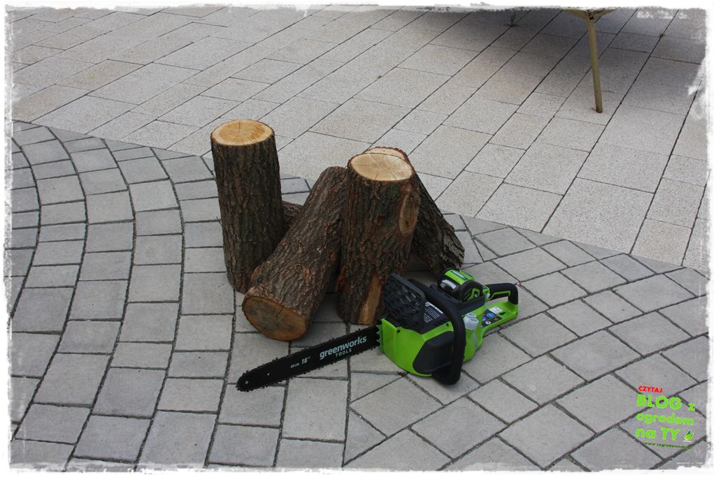 eska summer city minieuroland zogrodemnaty15