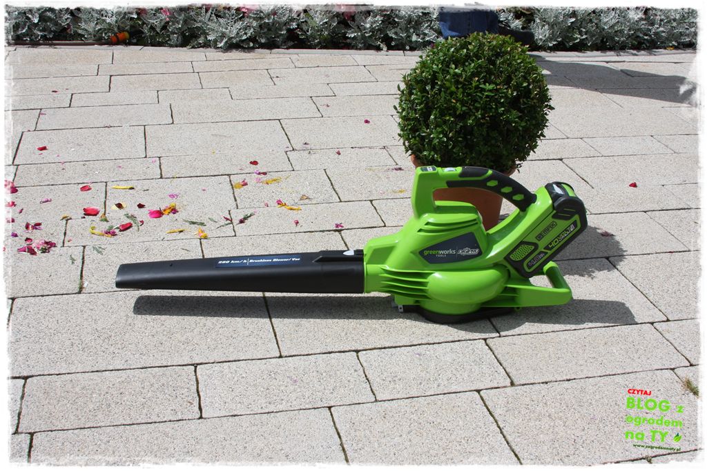 eska summer city minieuroland zogrodemnaty17