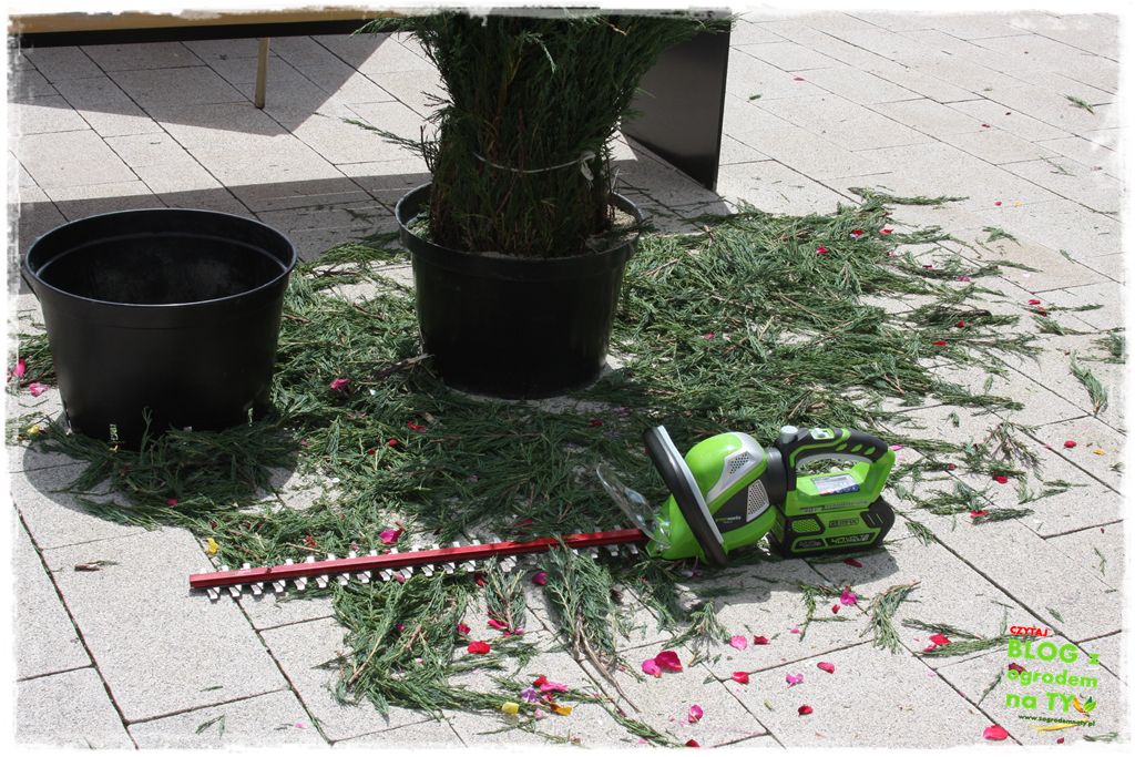 eska summer city minieuroland zogrodemnaty18