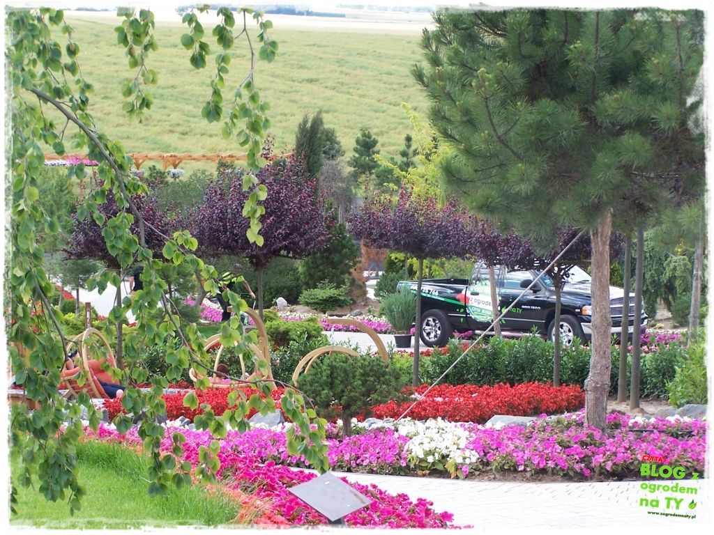 eska summer city minieuroland zogrodemnaty2