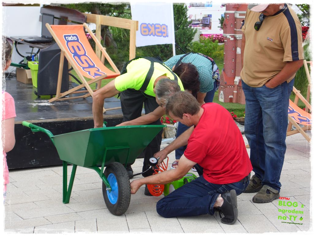 eska summer city minieuroland zogrodemnaty22