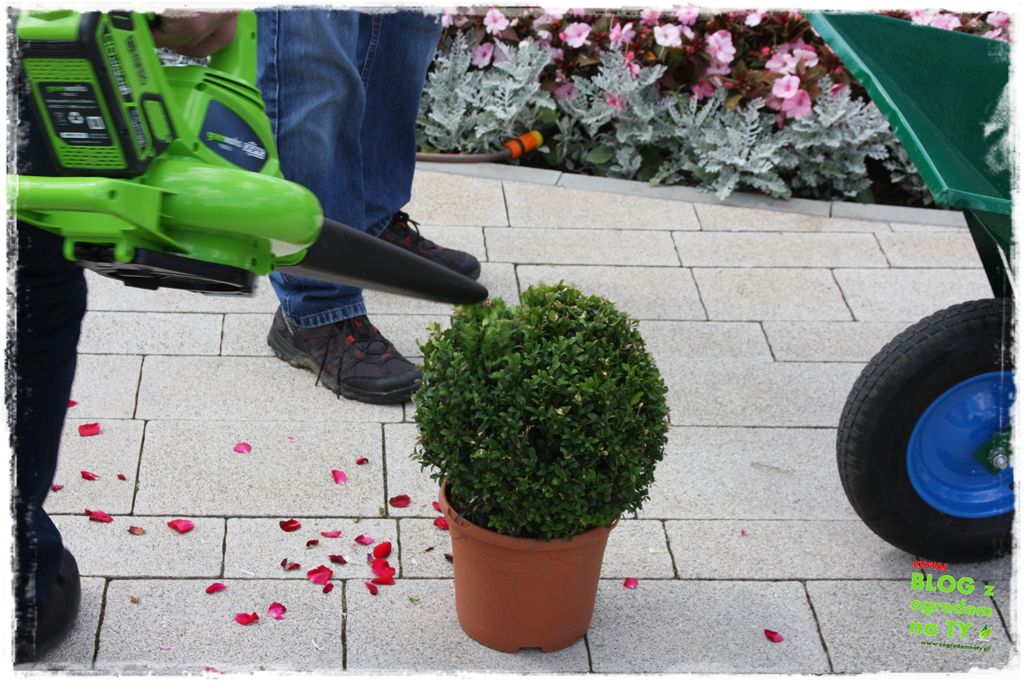 eska summer city minieuroland zogrodemnaty23