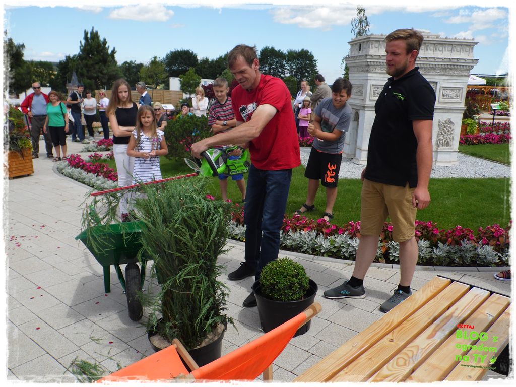 eska summer city minieuroland zogrodemnaty24