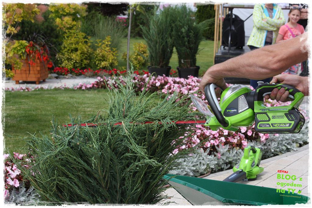 eska summer city minieuroland zogrodemnaty25