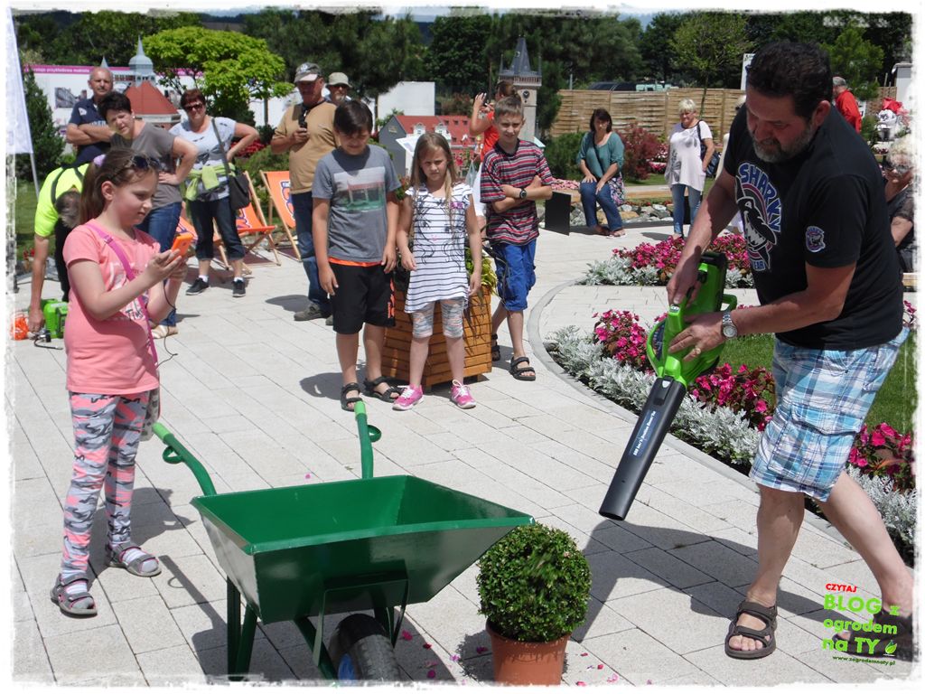 eska summer city minieuroland zogrodemnaty28