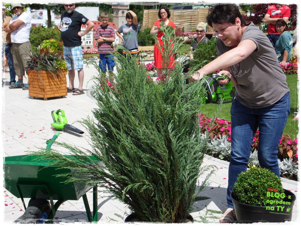 eska summer city minieuroland zogrodemnaty30