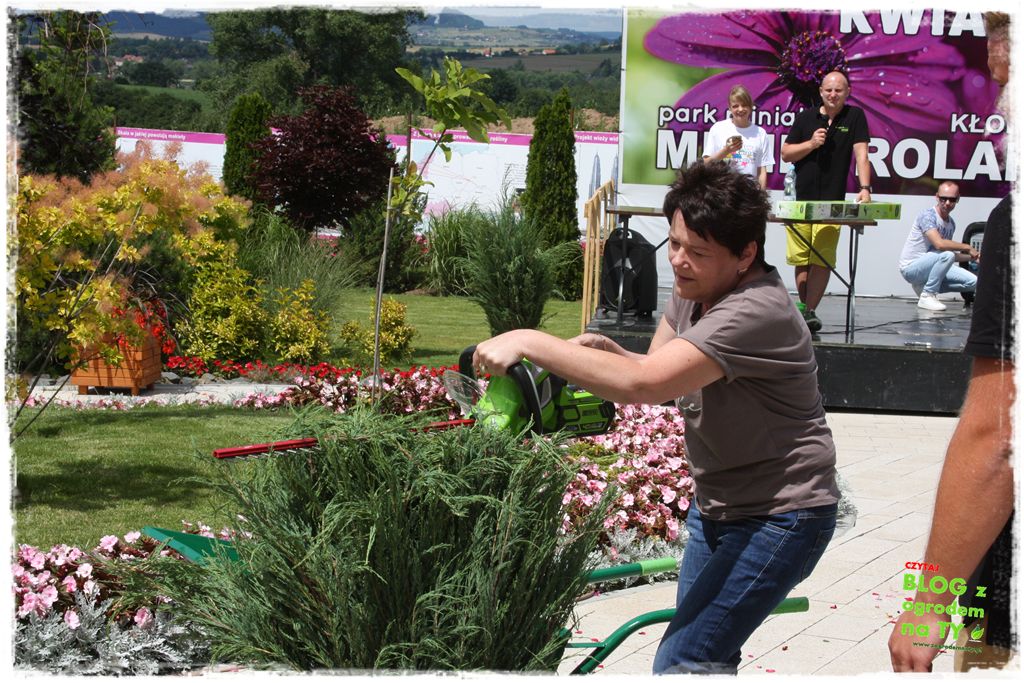 eska summer city minieuroland zogrodemnaty31