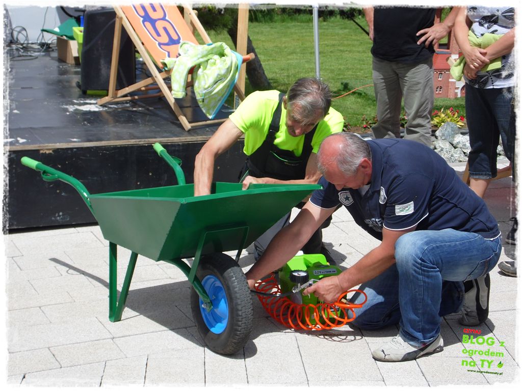 eska summer city minieuroland zogrodemnaty34