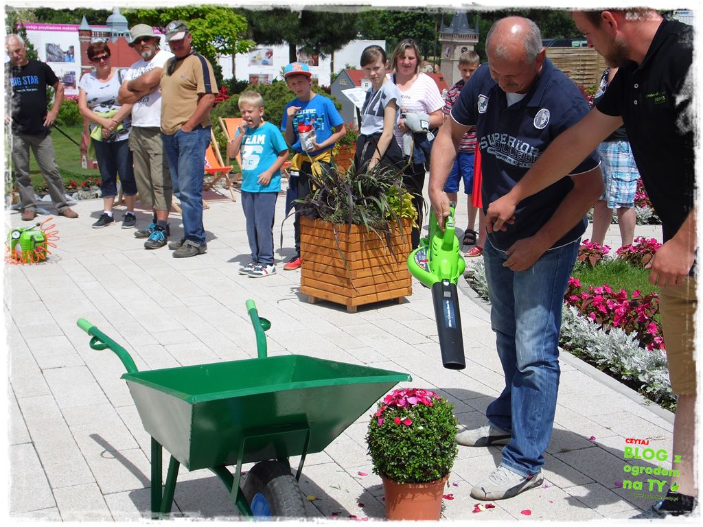 eska summer city minieuroland zogrodemnaty35