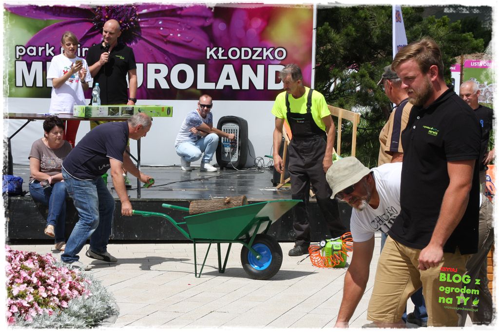 eska summer city minieuroland zogrodemnaty36