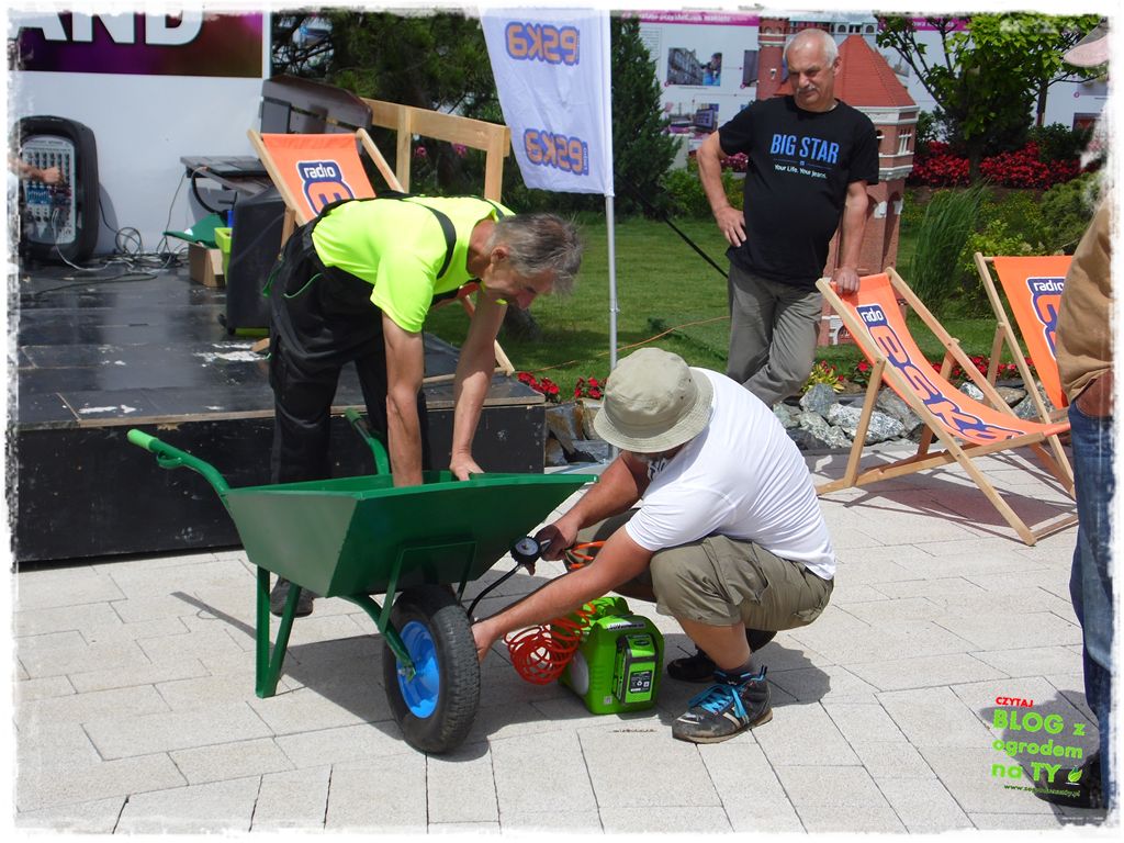 eska summer city minieuroland zogrodemnaty37