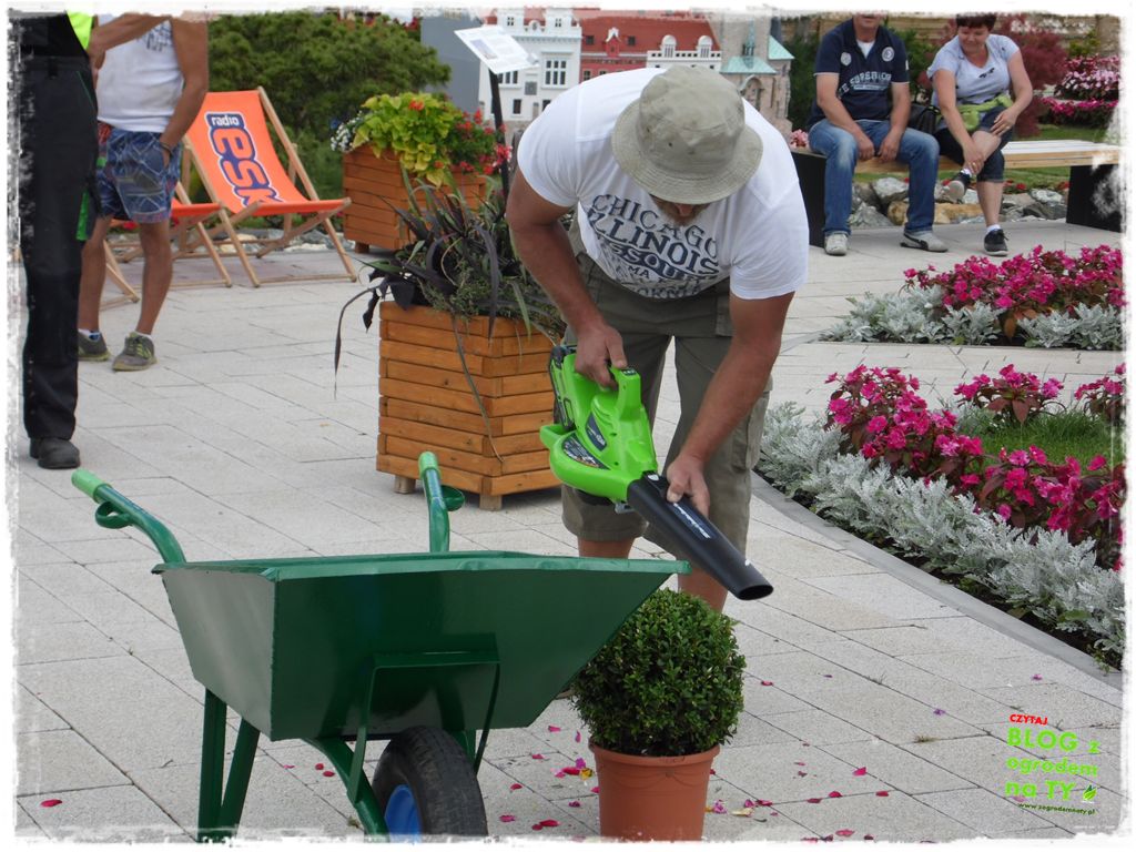 eska summer city minieuroland zogrodemnaty39