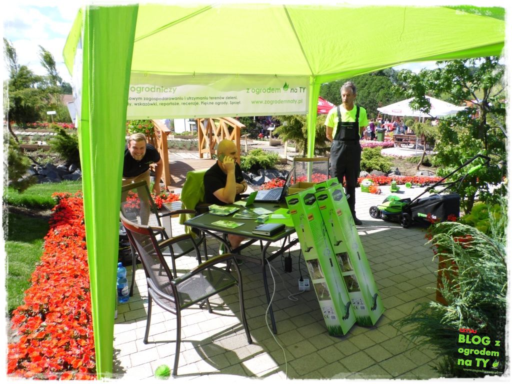 eska summer city minieuroland zogrodemnaty4