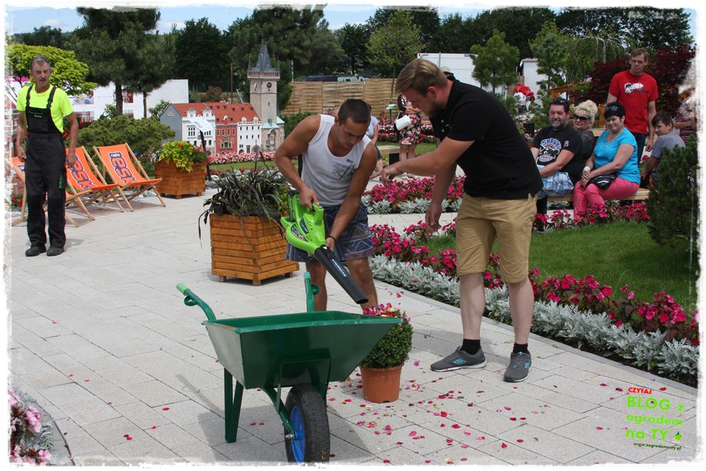 eska summer city minieuroland zogrodemnaty40