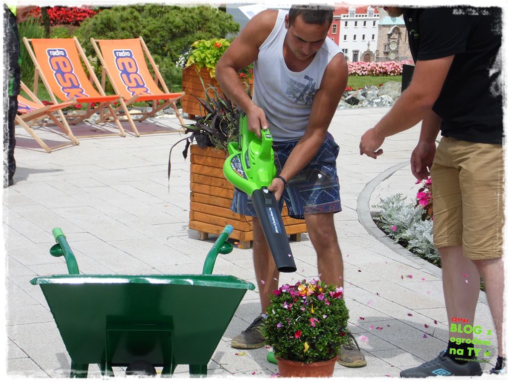 eska summer city minieuroland zogrodemnaty41