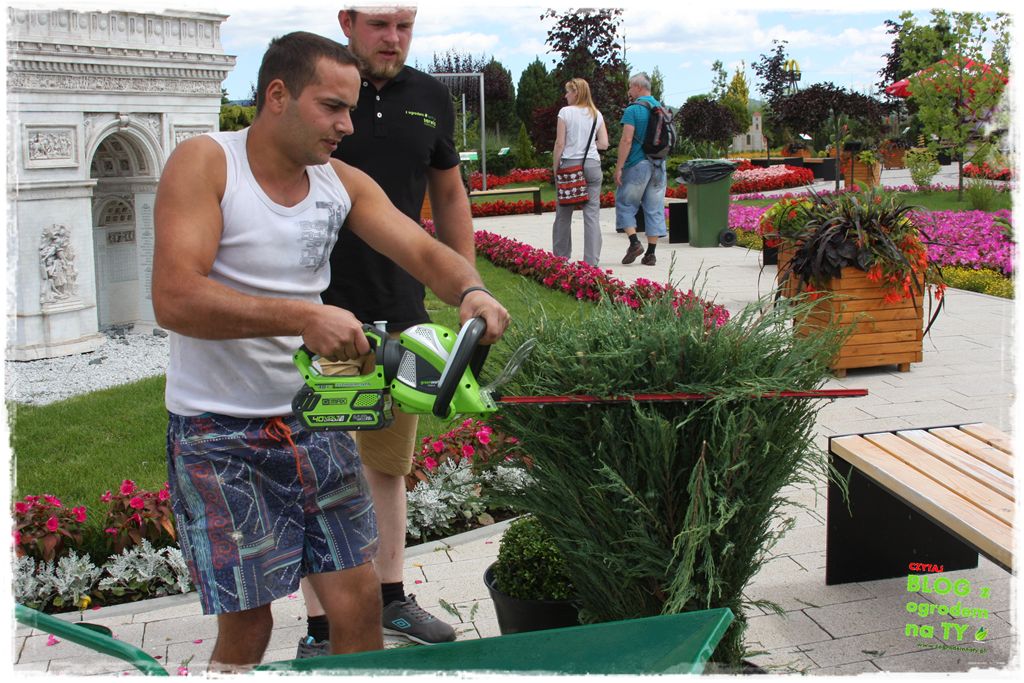 eska summer city minieuroland zogrodemnaty42