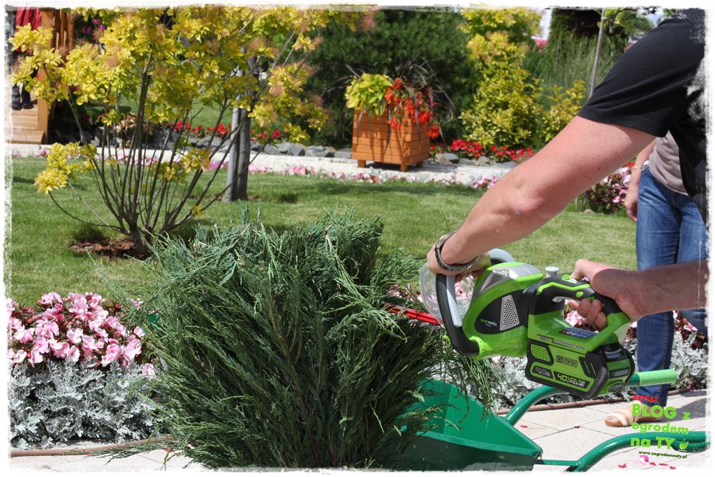 eska summer city minieuroland zogrodemnaty43