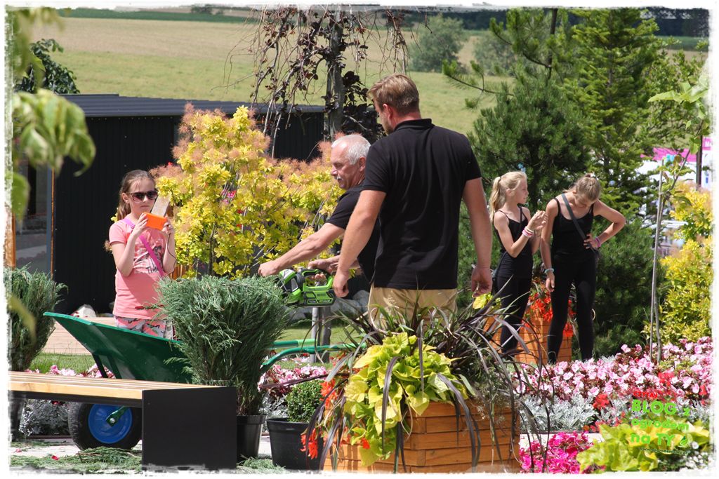 eska summer city minieuroland zogrodemnaty44