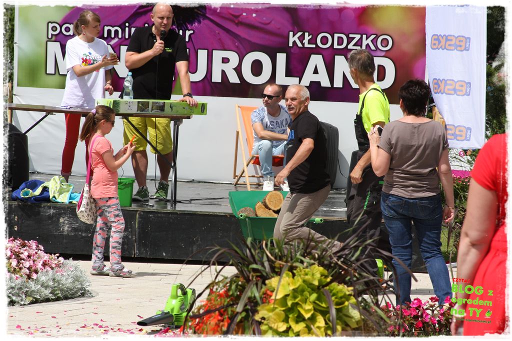 eska summer city minieuroland zogrodemnaty45