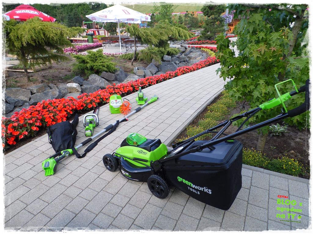 eska summer city minieuroland zogrodemnaty55