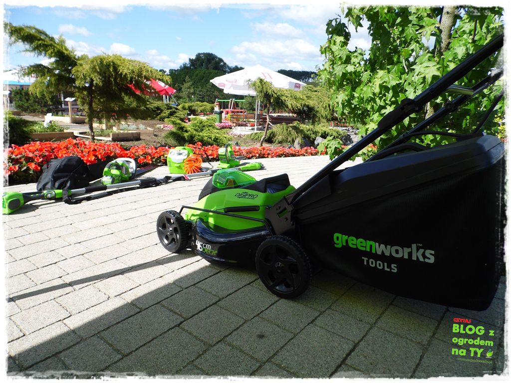 eska summer city minieuroland zogrodemnaty58