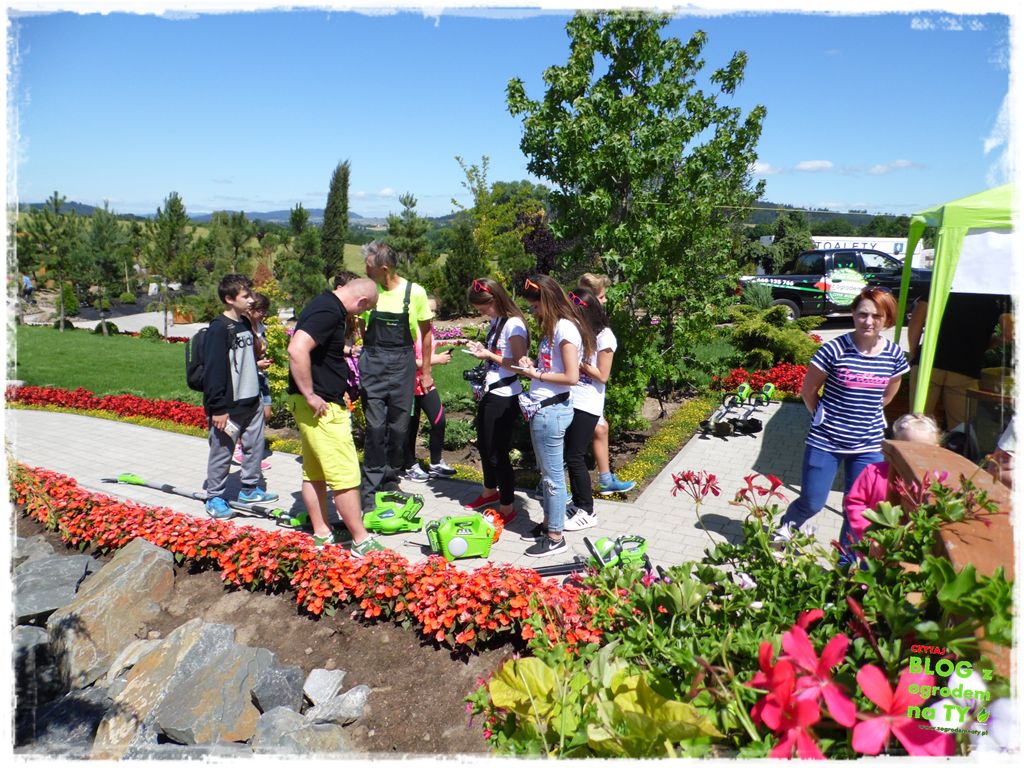 eska summer city minieuroland zogrodemnaty59