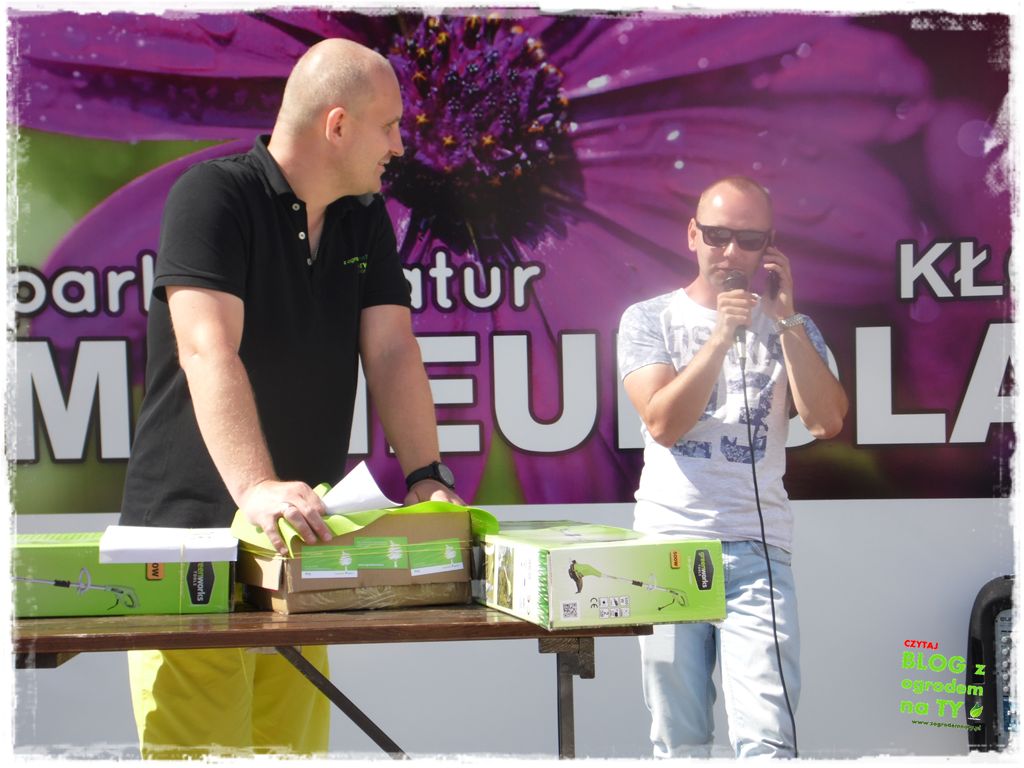 eska summer city minieuroland zogrodemnaty62