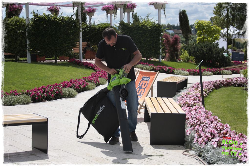 eska summer city minieuroland zogrodemnaty66