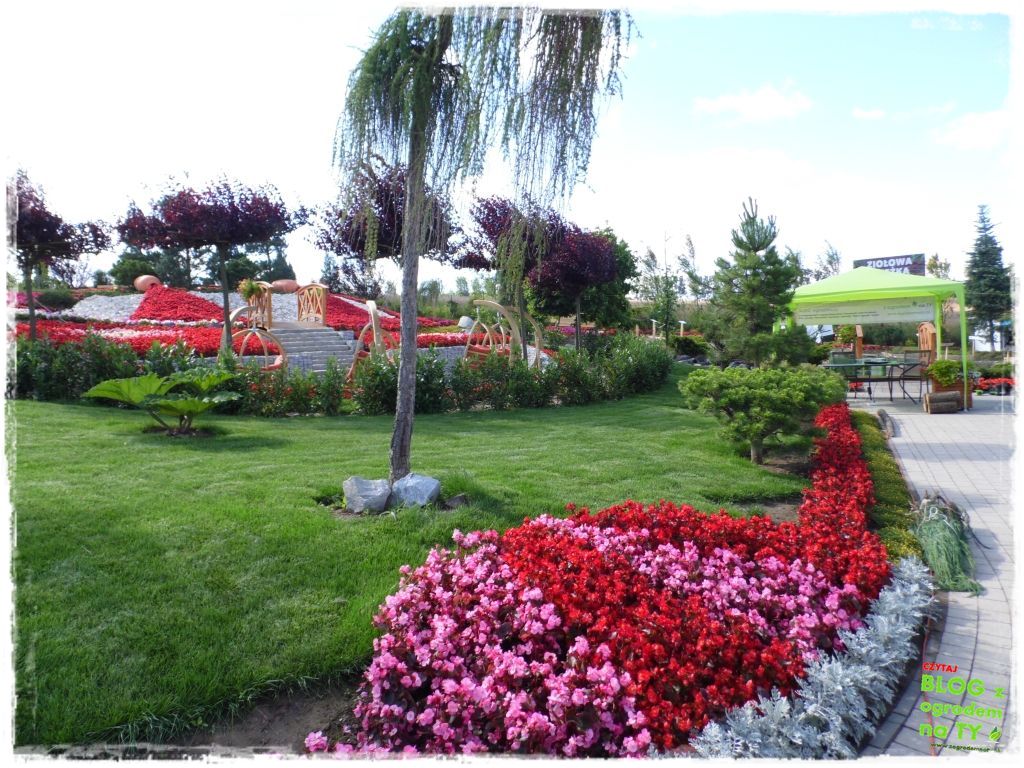 eska summer city minieuroland zogrodemnaty68