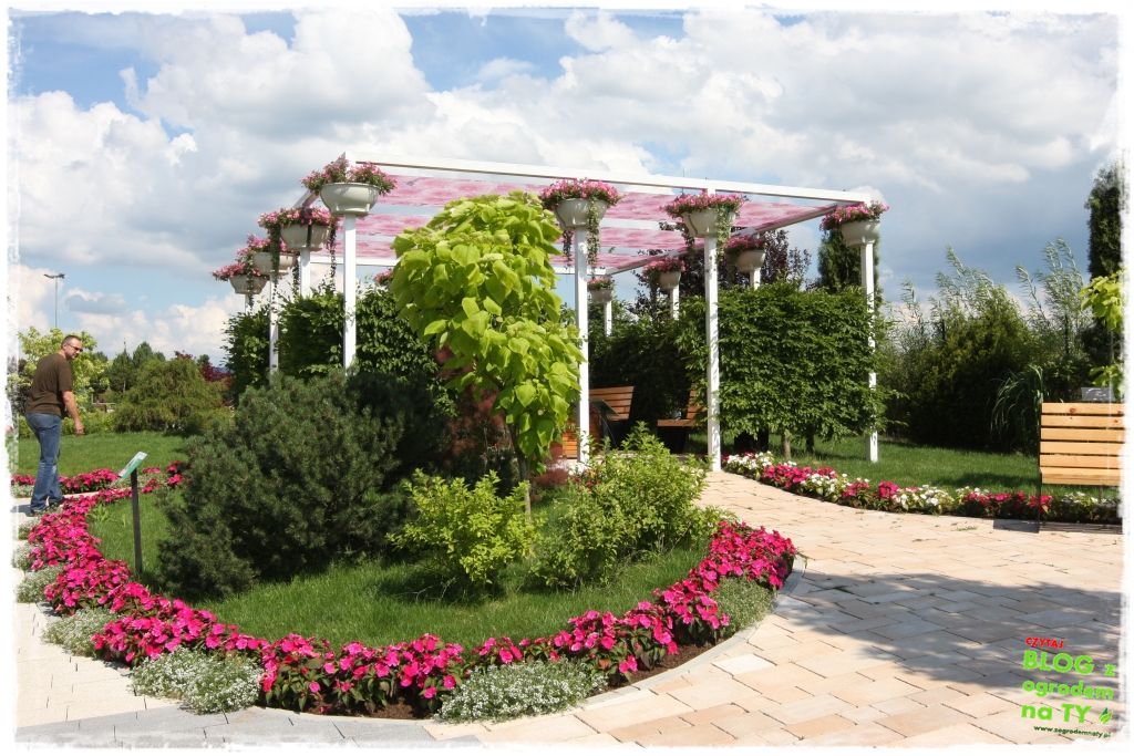 eska summer city minieuroland zogrodemnaty69