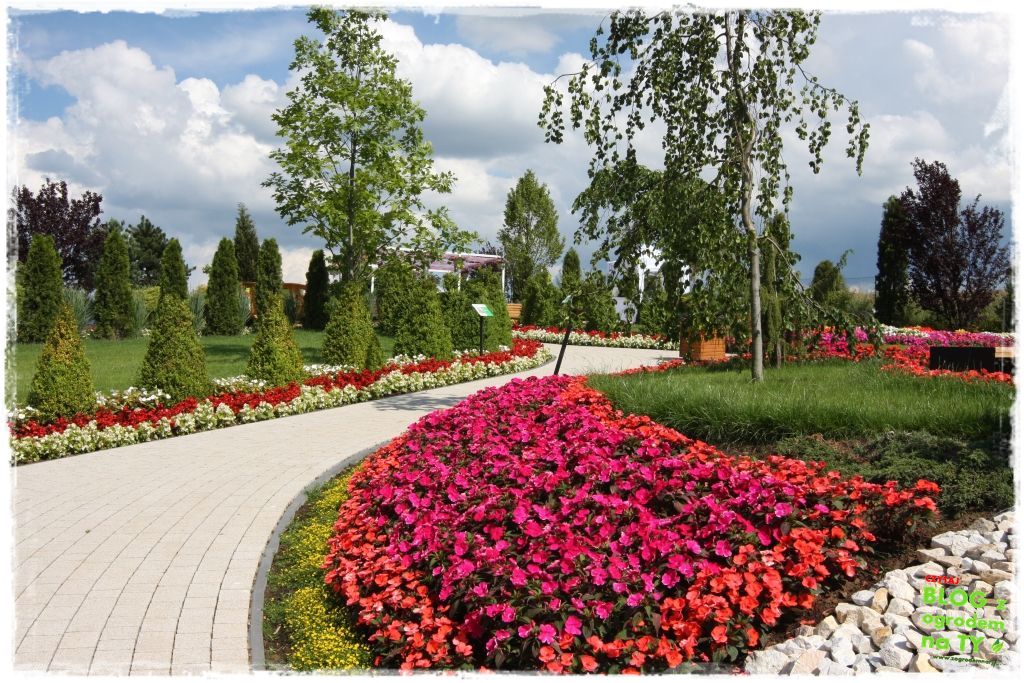 eska summer city minieuroland zogrodemnaty70