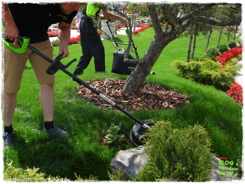 eska summer city minieuroland zogrodemnaty75