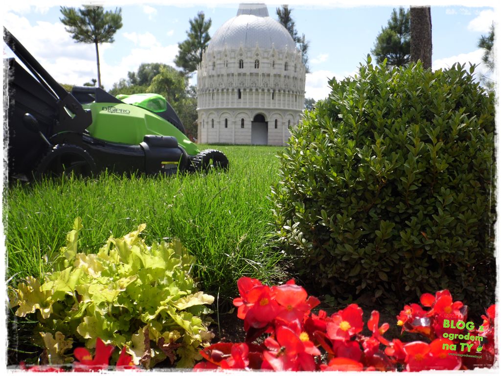 eska summer city minieuroland zogrodemnaty77