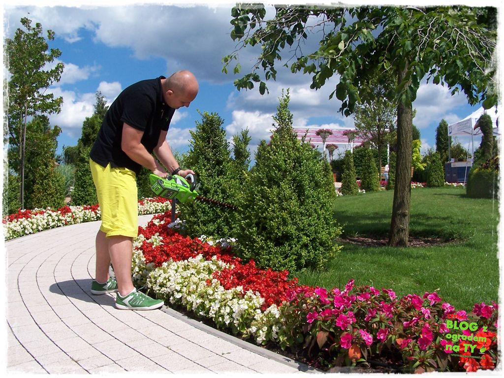 eska summer city minieuroland zogrodemnaty80