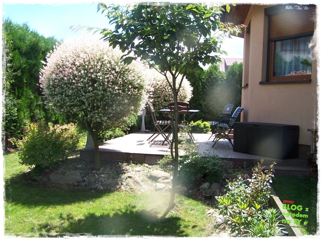 taras w ogrodzie zogrodemnaty10