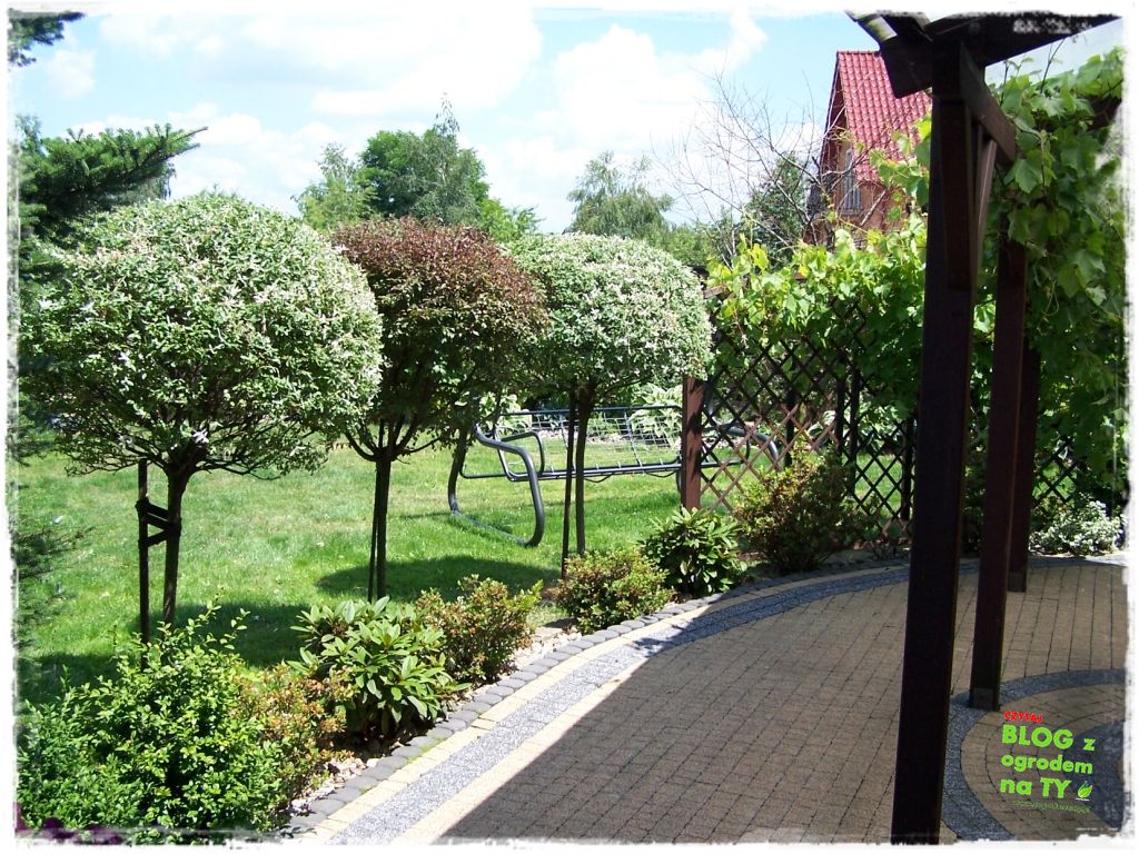 taras w ogrodzie zogrodemnaty11