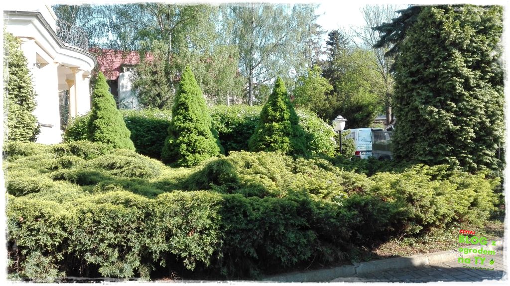 taras w ogrodzie zogrodemnaty12