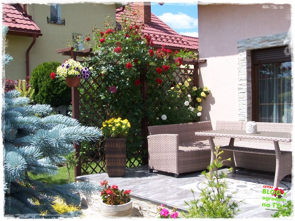 taras w ogrodzie zogrodemnaty16