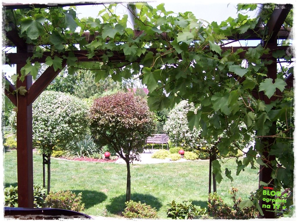 taras w ogrodzie zogrodemnaty17