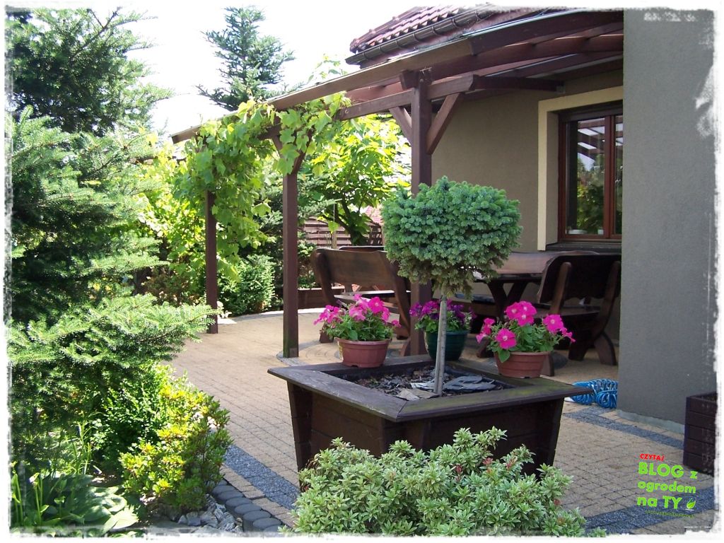 taras w ogrodzie zogrodemnaty2