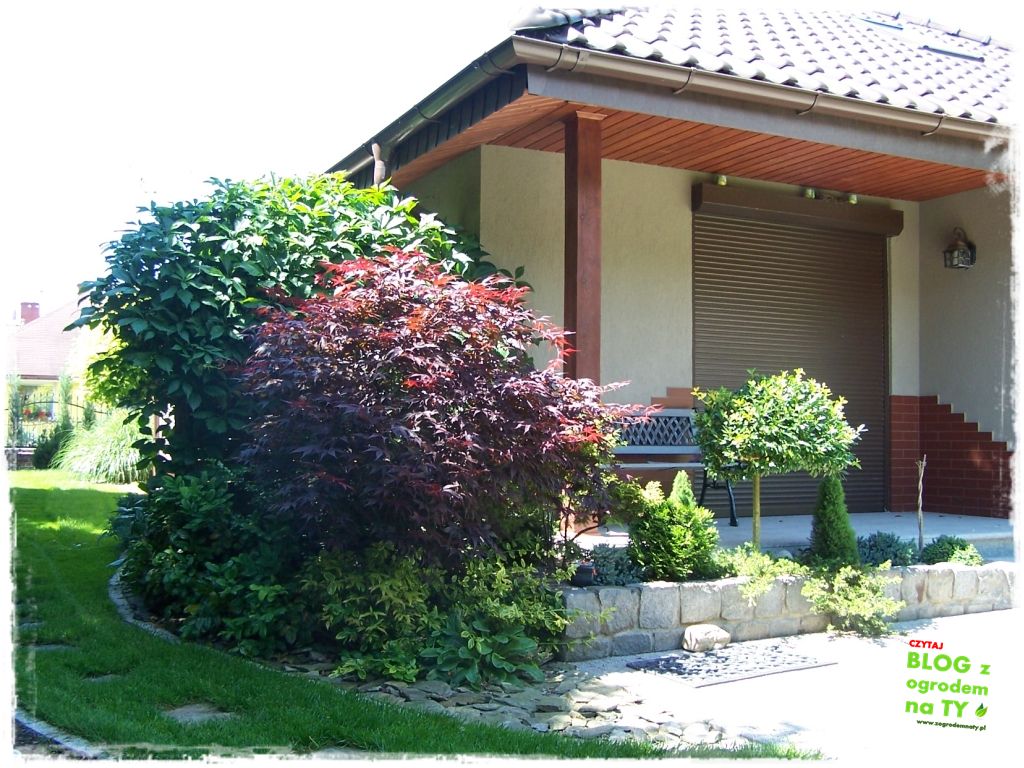 taras w ogrodzie zogrodemnaty22