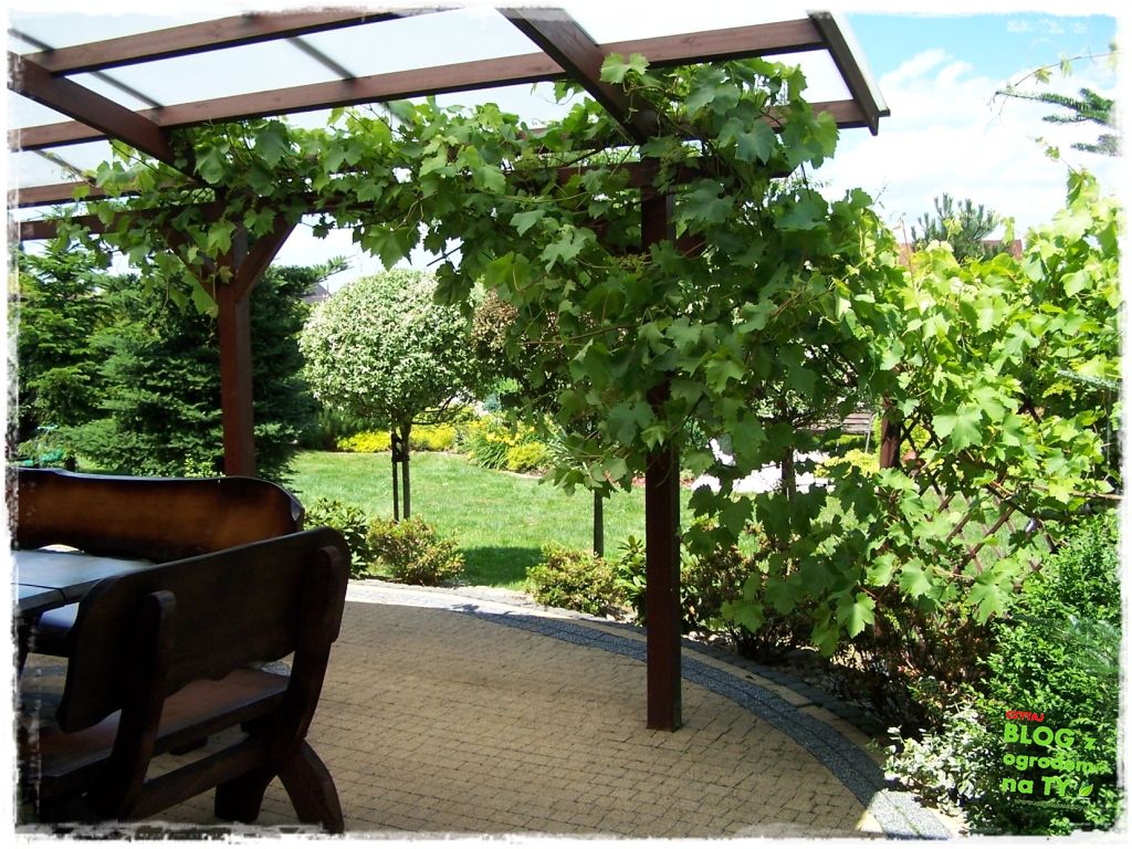 taras w ogrodzie zogrodemnaty3