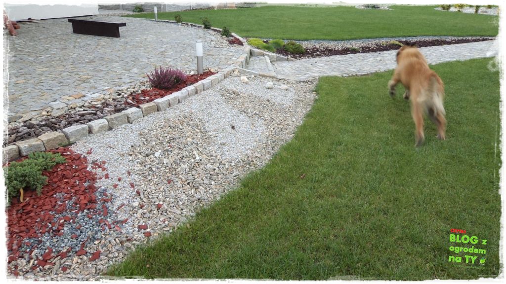 taras w ogrodzie zogrodemnaty7