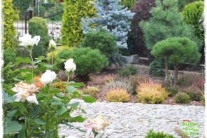 130eac4e4bdc3d6a5ef7b2cef403f3d6