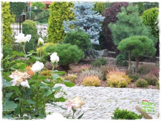 130eac4e4bdc3d6a5ef7b2cef403f3d6