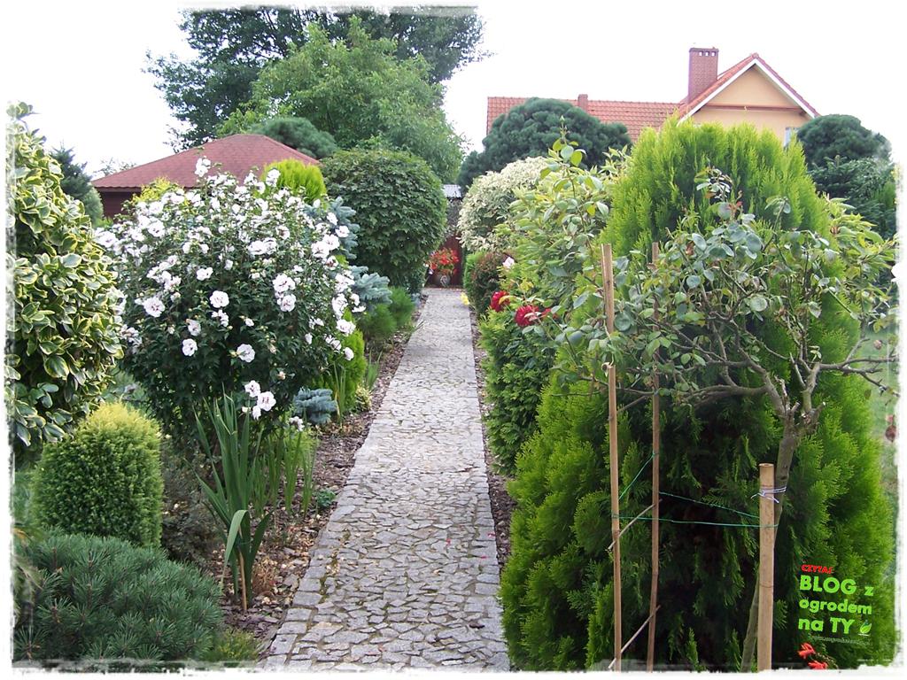 Ogród z dużą ilością gatunków zogrodemnaty8