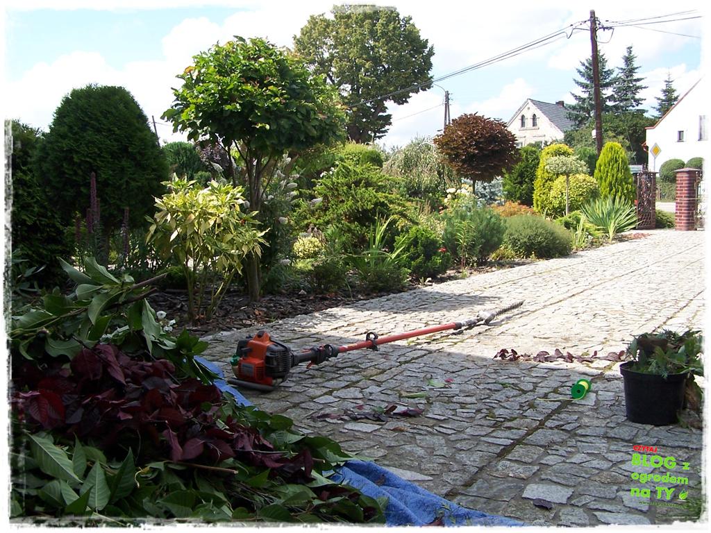 Ogród z dużą ilością gatunków zogrodemnaty24