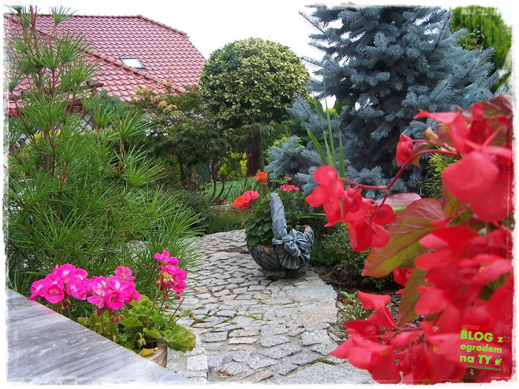 Ogród z dużą ilością gatunków zogrodemnaty6